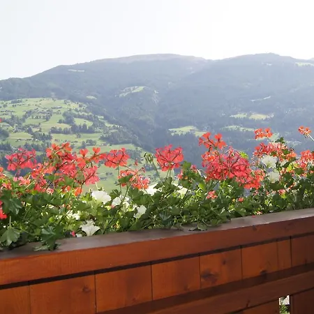 Familie Rieder Apartment